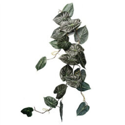 Leaf 6 X 120Cm Artificial Hanging Trailing Plant Alocasia Dragon Scale Dark - thumbnail 5