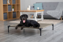 Petlicity Elevated Dog Bed Xl With Canopy Raised Pet Bed Outdoor Waterproof Breathable Dog Cot 106 X 85Cm - thumbnail 8
