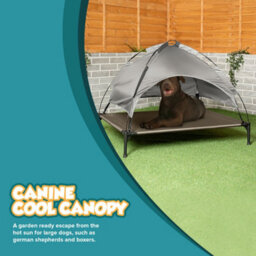 Petlicity Elevated Dog Bed Xl With Canopy Raised Pet Bed Outdoor Waterproof Breathable Dog Cot 106 X 85Cm - thumbnail 5