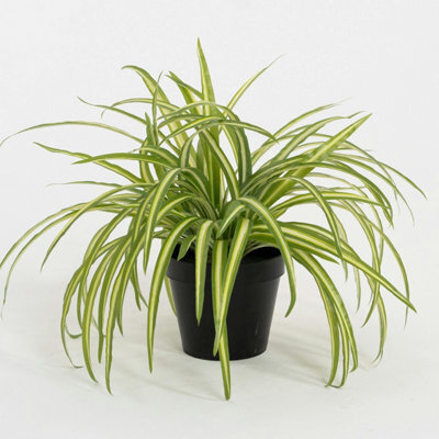 Blooming Artificial - 25Cm Faux Spider Plant - Indoor Fake Green Houseplant  by B&Q | uFurnish.com