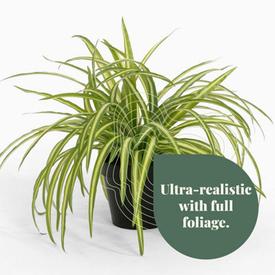 Blooming Artificial - 25Cm Faux Spider Plant - Indoor Fake Green Houseplant  by B&Q | uFurnish.com