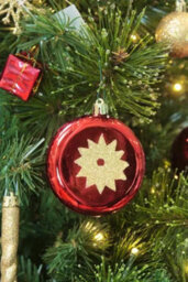 Christmas Tree World The 12Ft/360Cm Pre-Lit Majestic Dew Pine Christmas Tree - thumbnail 5