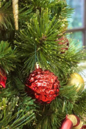 Christmas Tree World The 12Ft/360Cm Pre-Lit Majestic Dew Pine Christmas Tree - thumbnail 6
