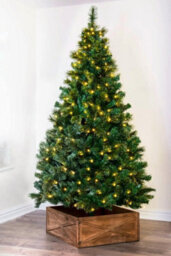 Christmas Tree World The 12Ft/360Cm Pre-Lit Majestic Dew Pine Christmas Tree - thumbnail 9