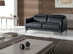 Angel Cerda Stylish Black Leather 2-Seater Sofa For Modern Living Rooms - thumbnail 2