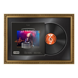 "AK Frames 25X17"" Gold Ornate Vinyl Record Frame With Black Mount For 12 Inch Lp Cover & Disc - Overlapped Design"