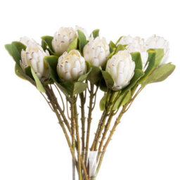 Wyld Haus Set Of 3 Closed White Protea Artificial Flower Stems 670mm - thumbnail 2