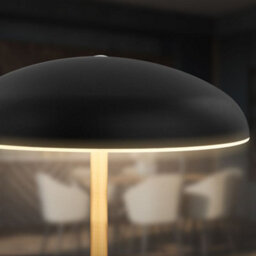 Briloner Rechargeable Led Table Lamp Night Light Bedside Bar Cordless Dimmable Black Gold - thumbnail 5