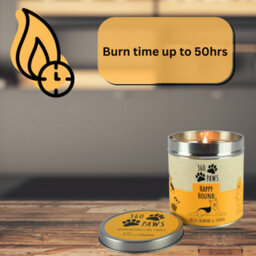 Eco Bag Scented Pet Odour Neutralising Candle Fresh Jasmine & Tonka 50 Hour Burn Time Aromaguard Technology - thumbnail 2