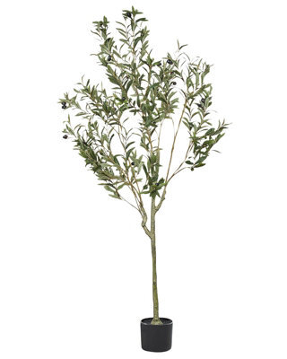 Wyld And Coco 153Cm Artificial Olive Tree Indoor Potted Decor Green And Black - Lifelike Foliage, Textured Trunk - image 1