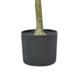 Wyld And Coco 153Cm Artificial Olive Tree Indoor Potted Decor Green And Black - Lifelike Foliage, Textured Trunk - thumbnail 5