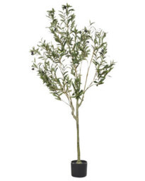 Wyld And Coco 153Cm Artificial Olive Tree Indoor Potted Decor Green And Black - Lifelike Foliage, Textured Trunk - thumbnail 1