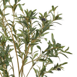 Wyld And Coco 153Cm Artificial Olive Tree Indoor Potted Decor Green And Black - Lifelike Foliage, Textured Trunk - thumbnail 3