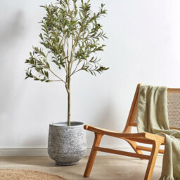 Wyld And Coco 153Cm Artificial Olive Tree Indoor Potted Decor Green And Black - Lifelike Foliage, Textured Trunk - thumbnail 2
