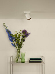 Lucide Nigel Modern Ceiling Spotlight - Led Dim To Warm - Gu10 - 1X5W 2200K/3000K - White - thumbnail 4