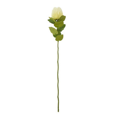 Wyld Haus Set Of 3 Cream Banksia Stems 590mm Artificial Flowers - image 1