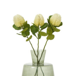 Wyld Haus Set Of 3 Cream Banksia Stems 590mm Artificial Flowers - thumbnail 3