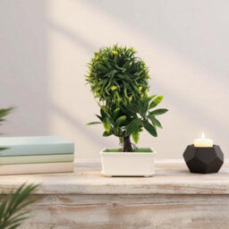 2Pcs Artificial Bonsai Tree - Fake Plant In Pot Artificial Plants Japanese Pine Bonsai Plant For Home Decoration - thumbnail 4