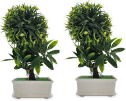 2Pcs Artificial Bonsai Tree - Fake Plant In Pot Artificial Plants Japanese Pine Bonsai Plant For Home Decoration - thumbnail 8