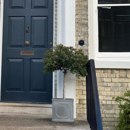 Idealist™ 30Cm Square Planter, Grey Reinforced Stone Garden Planter, Faux Lead Chelsea Flower Box, Outdoor Plant Pot - thumbnail 8