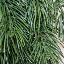 Christmas Tree World The 60Cm Vivente Fir Wreath - Green - thumbnail 4