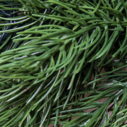 Christmas Tree World The 60Cm Vivente Fir Wreath - Green - thumbnail 3