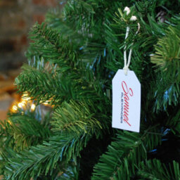 8Ft (240Cm) Samuel Alexander Luxury Green Christmas Tree 980 Tips 145Cm Wide - thumbnail 3