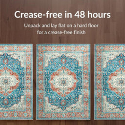 Imperial Rooms Homeware Soft Pile Small Rug Living Room Rugs Anti Slip Doormat Rug Kitchen Rugs Regal 40X60Cm - thumbnail 4