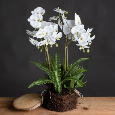 Wyld Haus Artificial Plant Large White Orchid Flowers And Fern In Rootball - image 1