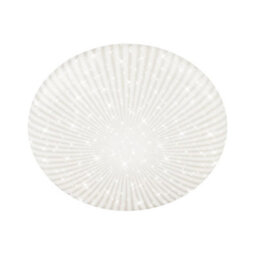 Briloner Led Ceiling Light Round Living Room Starry Sky Effect Neutral White 38Cm, 20W, 2400Lm - thumbnail 1