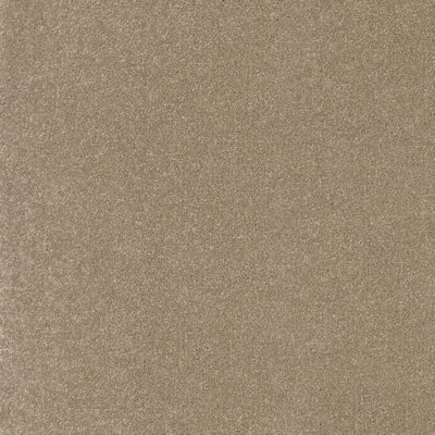 Furlong Flooring Inspiration Deep Pile Carpet (Santiago, 4M X 4M)
