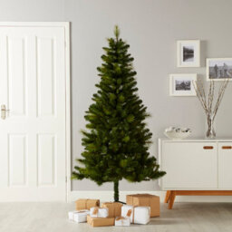6Ft Eiger Full Artificial Christmas Tree - Green - thumbnail 1