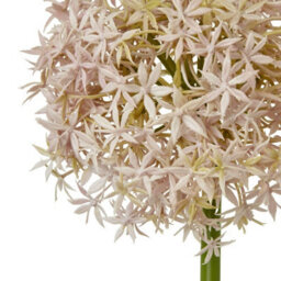 Hill Interiors Allium Stem Artificial Plant Lilac (90Cm) - thumbnail 4
