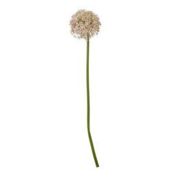 Hill Interiors Allium Stem Artificial Plant Lilac (90Cm) - thumbnail 3