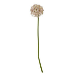 Hill Interiors Allium Stem Artificial Plant Lilac (90Cm) - thumbnail 2