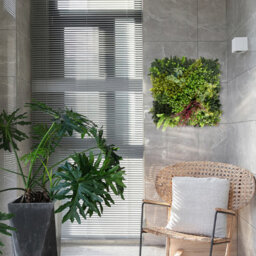 Artificial Plant Flower Living Wall Panels Realistic - Purple Strand - Indoor / Outdoor -50Cm X 50Cm - thumbnail 8