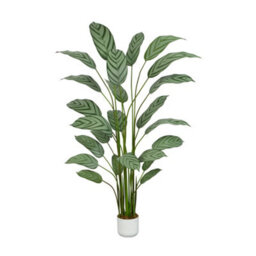 MCC Direct Artificial Plant Bird Of Paradise Tree Indoor House Plant 180Cm - thumbnail 7