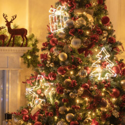 The Christmas Workshop Acrylic Led Christmas Tree Light - Mixed Led Christmas Decorations - 6 Hour Timer - Battery Operated - thumbnail 7