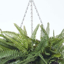 Homescapes Artificial Green Handcrafted Boston Fern Hanging Basket, 65 Cm - thumbnail 5