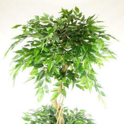 Leaf Artificial Ficus Triple Ball Tree 6Ft Gold Metal Planter - thumbnail 2
