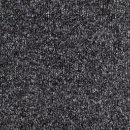 Remland Carrick Cove Bleach Cleanable Carpet (Granite, 2M X 4M) - thumbnail 1