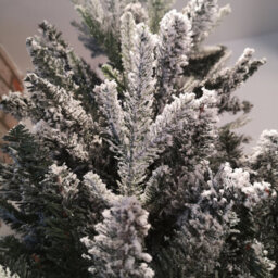 Samuel Alexander 8Ft (240Cm) Premier Slim Green Lapland Spruce Snow Flocked Christmas Tree Pe Pvc Mixed Branches - thumbnail 3