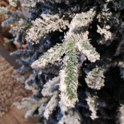 Samuel Alexander 8Ft (240Cm) Premier Slim Green Lapland Spruce Snow Flocked Christmas Tree Pe Pvc Mixed Branches - thumbnail 4