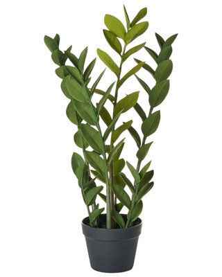Wyld And Coco 76Cm Artificial Potted Zamiifolia (Zz) Plant - Green And Black Decorative Indoor Accessory - image 1
