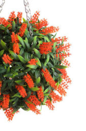 Pair Of Best Artificial 28Cm Orange Lush Lavender Hanging Basket Flower Topiary Ball - Weather & Fade Resistant - thumbnail 2