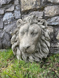 Burgess Large Lion Head Bust Hanging Plaque Stone African Animal Outdoor Garden Ornament - thumbnail 2