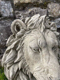 Burgess Large Lion Head Bust Hanging Plaque Stone African Animal Outdoor Garden Ornament - thumbnail 3