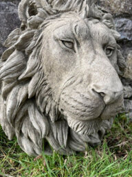 Burgess Large Lion Head Bust Hanging Plaque Stone African Animal Outdoor Garden Ornament - thumbnail 4