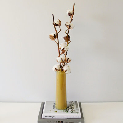 Carbeth Plants 2 X Natural Dried Cotton Stems - Approx. 60Cm In Height - Dried Flowers - Ideal For Home Décor - Flower Arranging - image 1