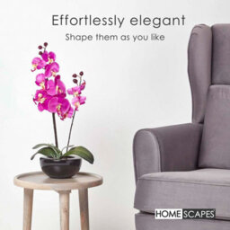 Homescapes Artificial Cerise Pink Handcrafted Oriental Style Orchids In Black Bowl, 54 Cm - thumbnail 6